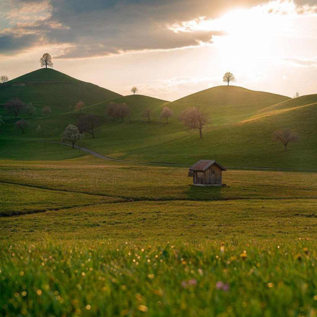 دانلود آهنگ ای غم بیا ای غم بیا